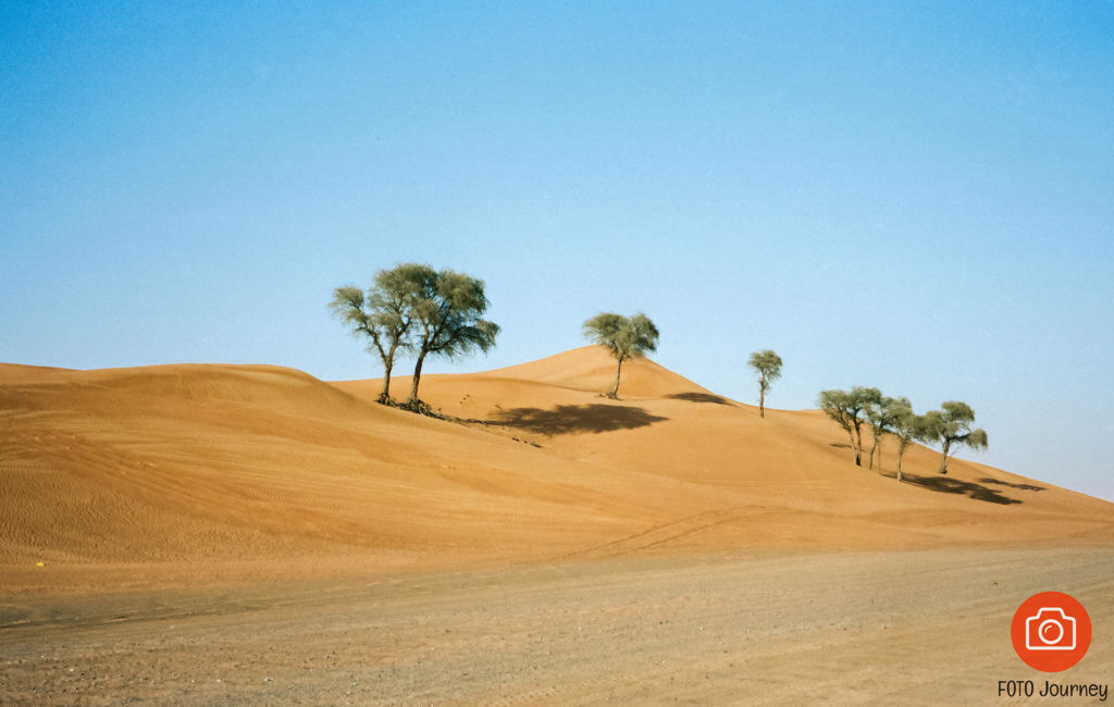 #7 Kodak Portra 160 review