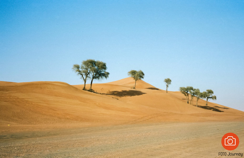  Kodak Portra 160, Desert Landscape
