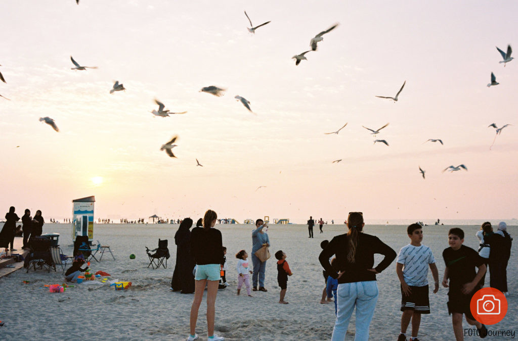 'Kodak Portra 160 review', on the beach at sunset, playing with seagulls
