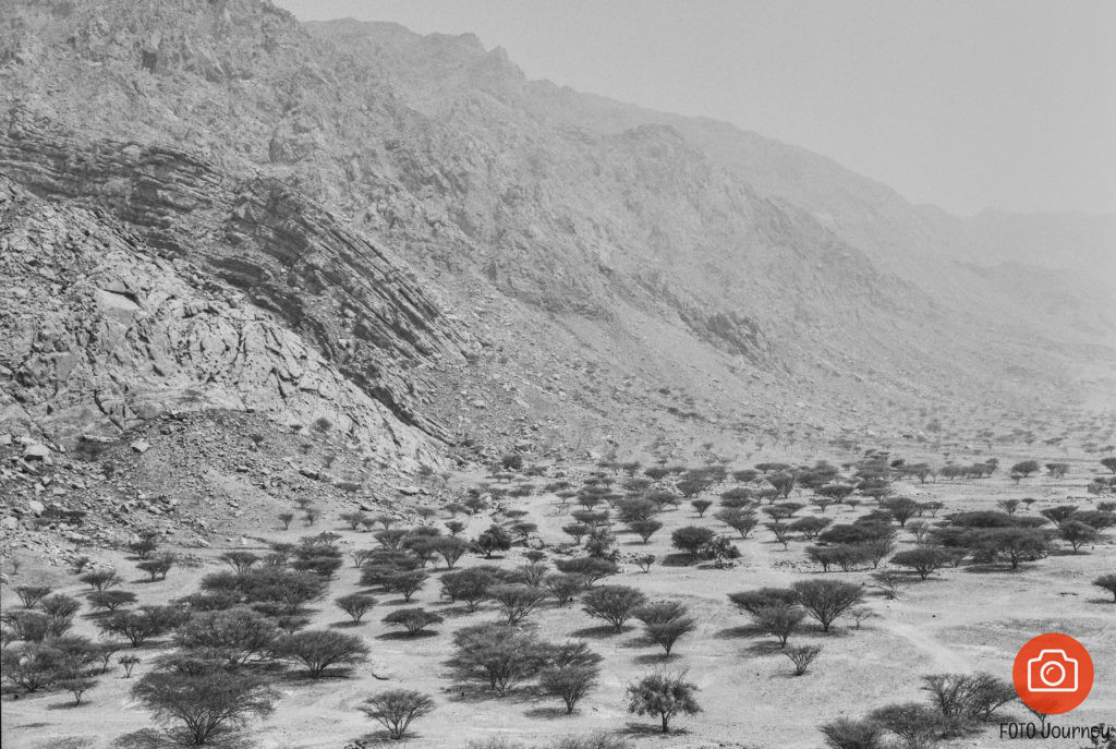 Ras El Khaima mountains, Lomography Earl Grey, Mamiya 645