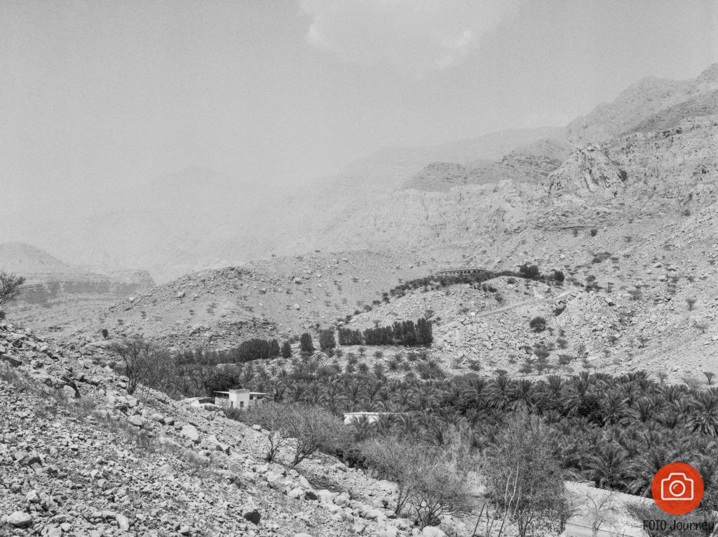 Ras El Khaimah, Lomography Earl Grey, Mamiya 645