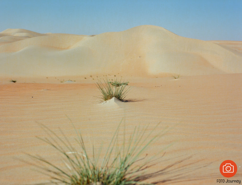 Show me the way, Liwa Desert shot on Ektar 100 with a Mamiya 645